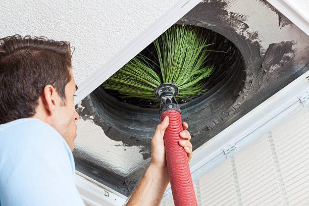 Best Affordable HVAC Duct Cleaning  in Cadillac, MI